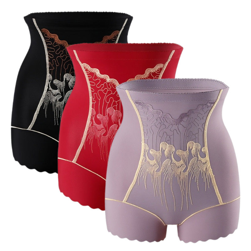 🏆Culotte Gainante Femme Haute Taille avec Contrôle du Ventre🌿👑