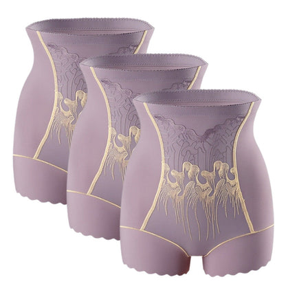 🏆Culotte Gainante Femme Haute Taille avec Contrôle du Ventre🌿👑