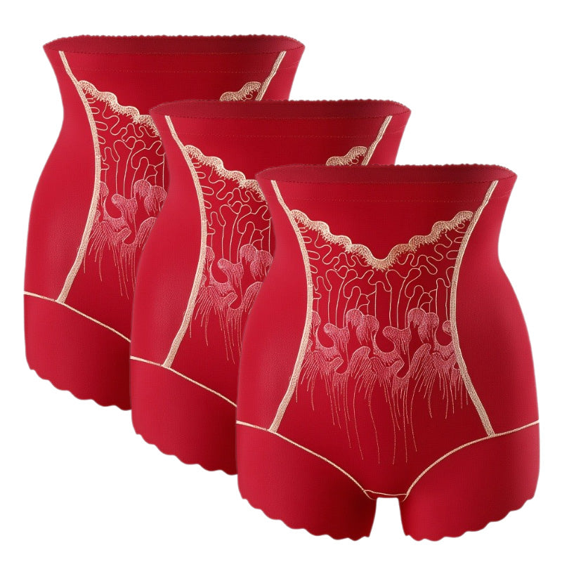 🏆Culotte Gainante Femme Haute Taille avec Contrôle du Ventre🌿👑